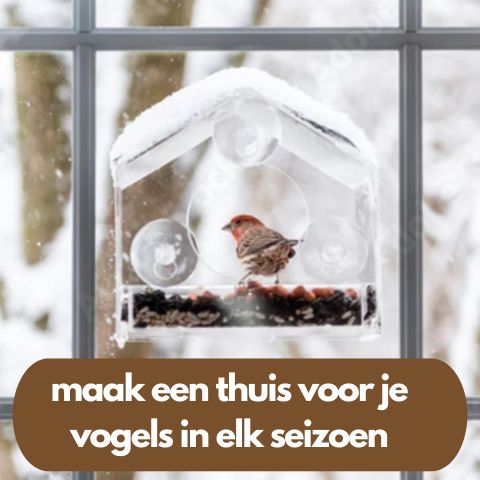 BirdView | Vogelvoederhuisje voor aan het raam