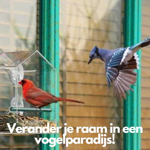 BirdView | Vogelvoederhuisje voor aan het raam