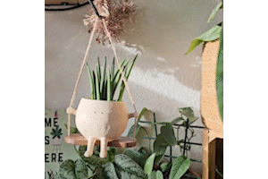 Happy Plant Pot | Zeg dag tegen saaie plantenpotten